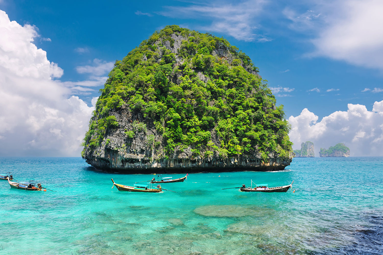 Vighnahar Travels Fleet